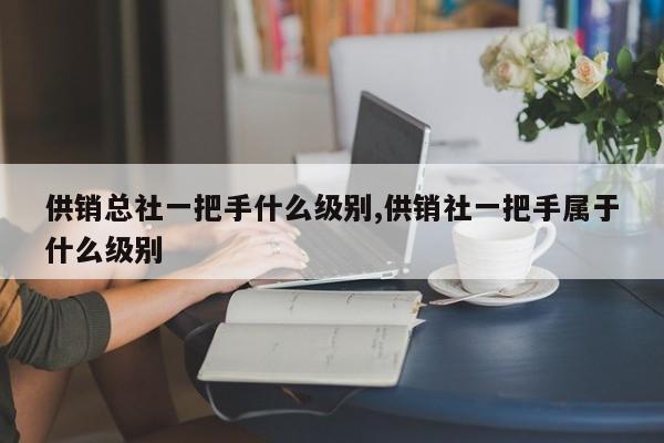 供销总社一把手什么级别,供销社一把手属于什么级别