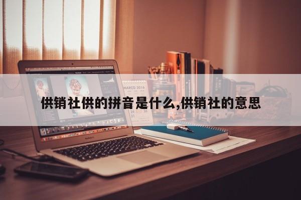 供销社供的拼音是什么,供销社的意思
