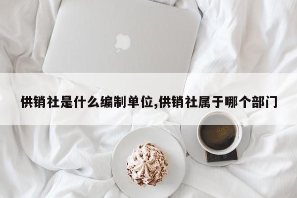 供销社是什么编制单位,供销社属于哪个部门