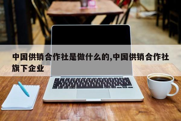 中国供销合作社是做什么的,中国供销合作社旗下企业