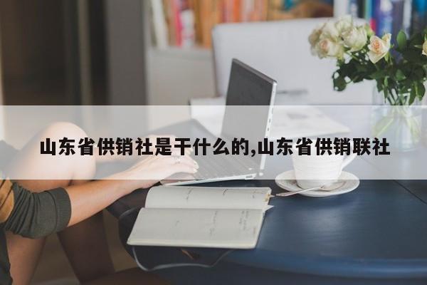 山东省供销社是干什么的,山东省供销联社