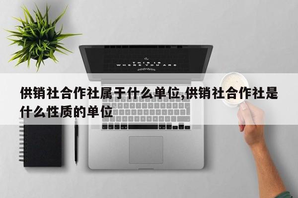 供销社合作社属于什么单位,供销社合作社是什么性质的单位