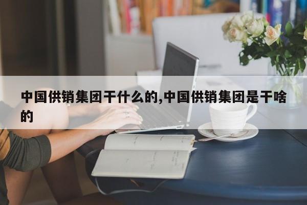 中国供销集团干什么的,中国供销集团是干啥的
