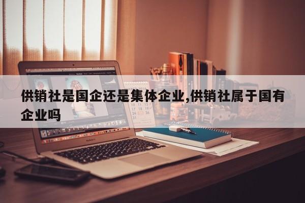 供销社是国企还是集体企业,供销社属于国有企业吗