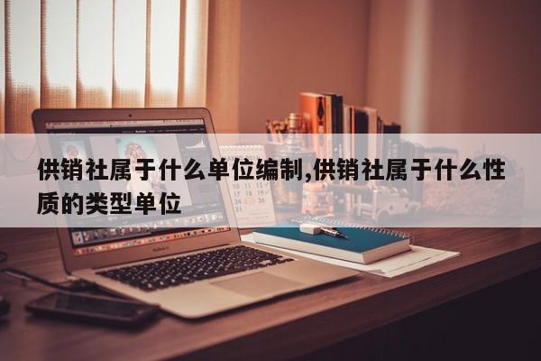 供销社属于什么单位编制,供销社属于什么性质的类型单位