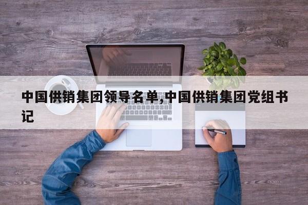 中国供销集团领导名单,中国供销集团党组书记