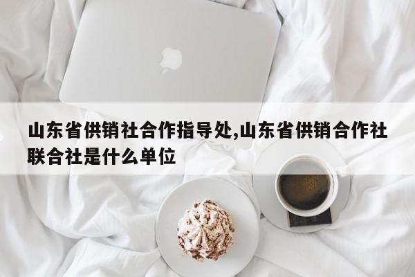 山东省供销社合作指导处,山东省供销合作社联合社是什么单位