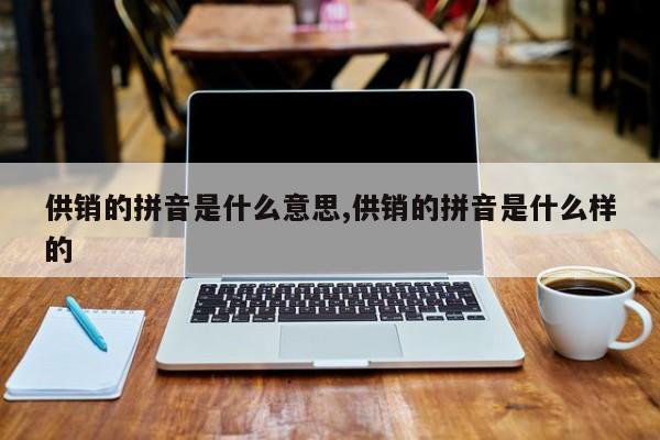 供销的拼音是什么意思,供销的拼音是什么样的