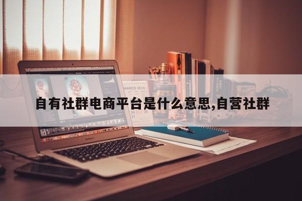 自有社群电商平台是什么意思,自营社群