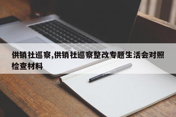 供销社巡察,供销社巡察整改专题生活会对照检查材料