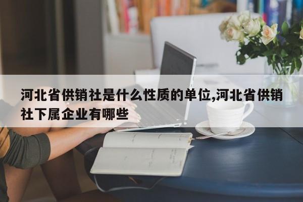 河北省供销社是什么性质的单位,河北省供销社下属企业有哪些