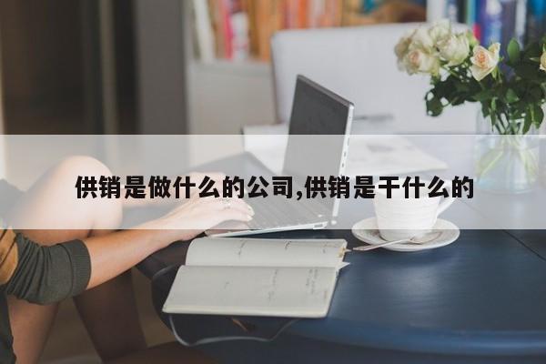 供销是做什么的公司,供销是干什么的