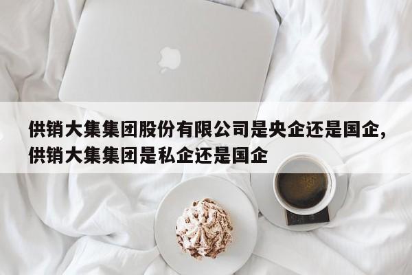 供销大集集团股份有限公司是央企还是国企,供销大集集团是私企还是国企